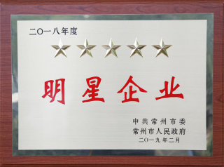常寶股份榮獲“工業(yè)五星級企業(yè)”、“納稅金獎(jiǎng)”等多項(xiàng)大獎(jiǎng)156.png